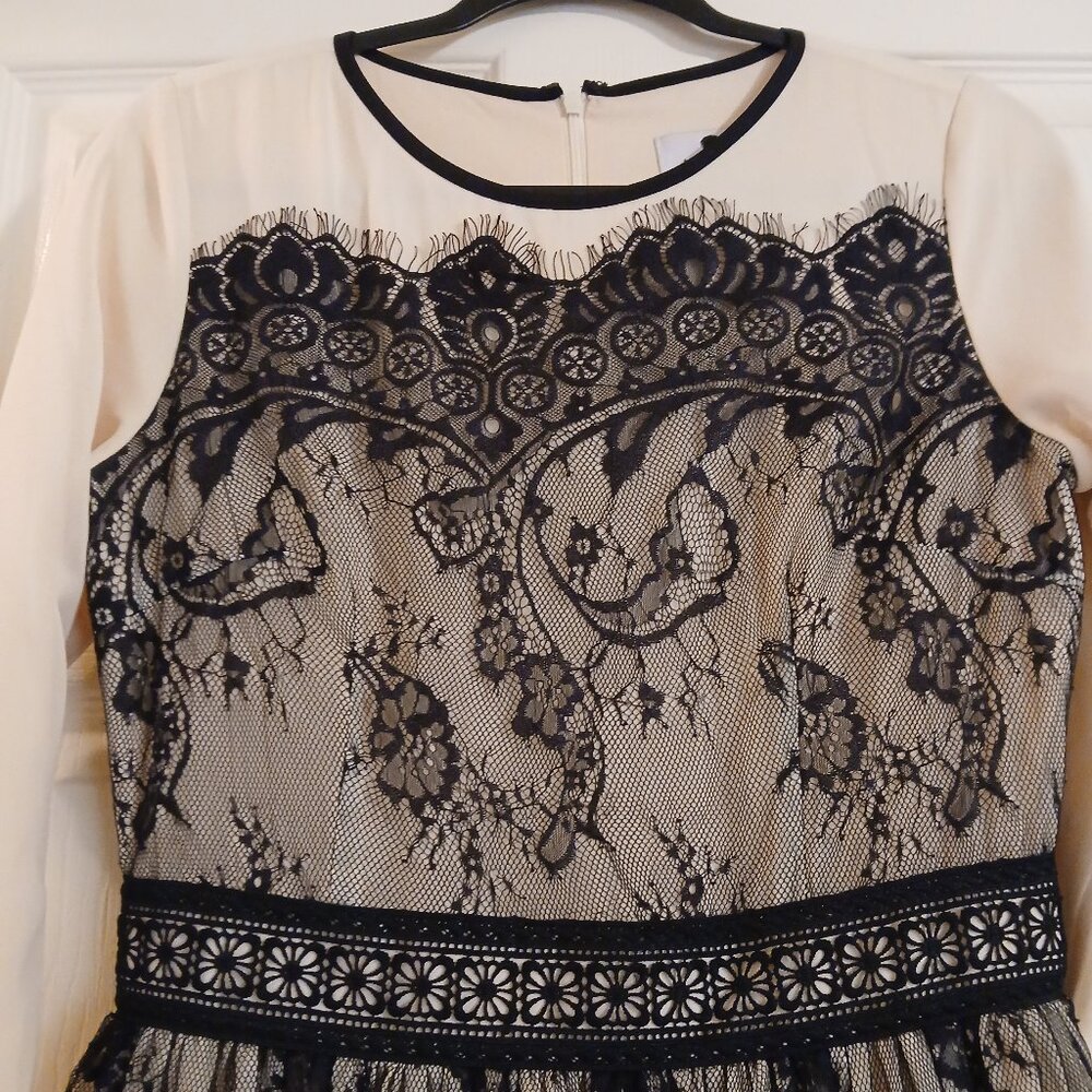 Dainty Jewells Black Lace Overlay Maxi Dress with Cream Lining